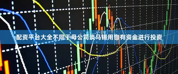配资平台大全不同于母公司淡马锡用自有资金进行投资